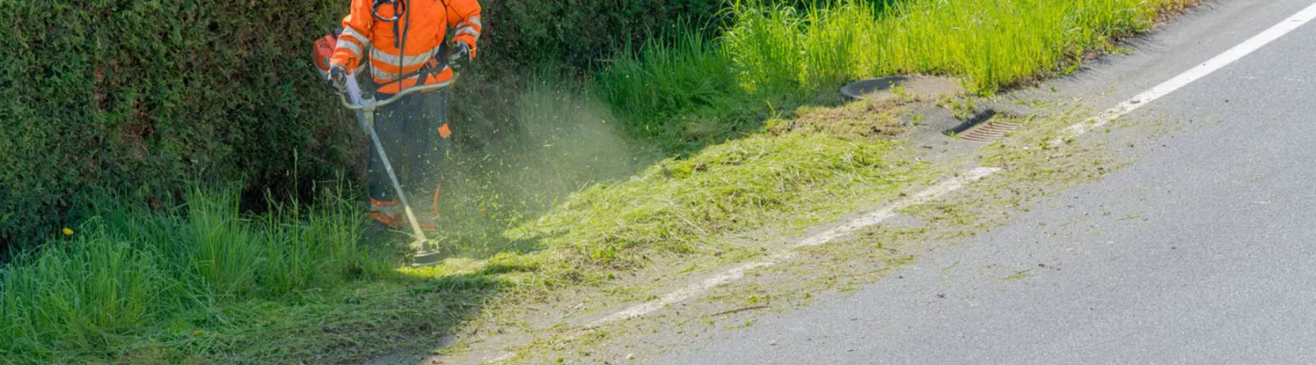 Landscape Weed Cutter 