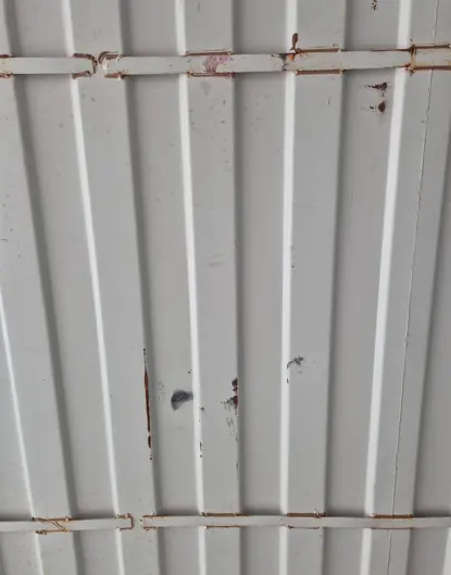 in 8