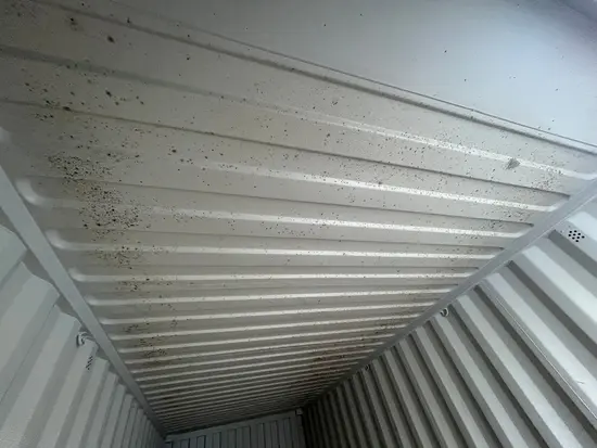 roof 1