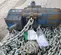 2012 JD NEUHAUS PROFI 10T Hoist
