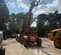 2019 SKYTRAK 6042 Forklift