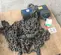 2013 JD NEUHAUS PROFI 3T 6T Hoist