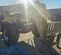 2017 Gehl RS8-42 Forklift
