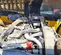 2021 JCB 512-56 Forklift