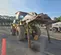 2021 John Deere 624P Wheel Loader