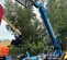2017 Genie GTH-1056 Forklift