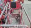 2019 MEC MICRO 19 Scissor Lift