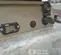 2022 Wacker Neuson DPU6555He Vibratory Plate Compactor