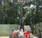 2019 Skyjack SJ643TH Forklift