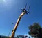 2019 JCB 510-56 Forklift