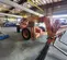 2018 XTREME XR1245 Forklift