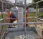 2020 Wacker Neuson LTV6L Portable Light Tower