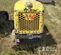 2022 Wacker Neuson RTLX-SC3 Double Drum Roller