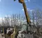 2021 JCB 512-56 Forklift