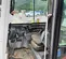 2021 Takeuchi TB290CL Mini Excavator