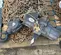 2012 JD NEUHAUS PROFI 10T Hoist