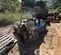 2024 Erskine Attachments 900562 Rake Attachment