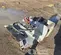 2022 Bushmaster Equipment MX401-48SL Attachment
