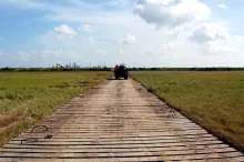 Multi Ply Temporary Road Mat